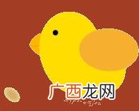 可行性研究报告目录 可研性研究报告公司