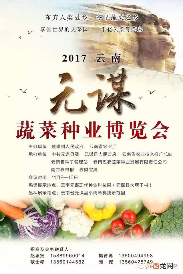 可行性研究报告目录 可研性研究报告公司