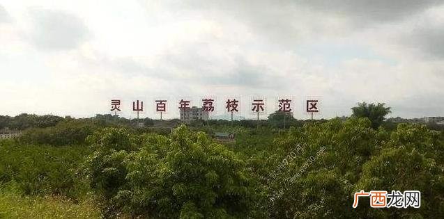 横溪台湾农民创业园 钦南区台湾农民创业园