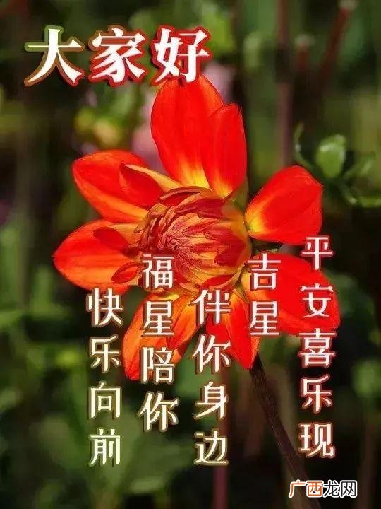 最精辟的早安带图励志语,早上好创业句子带图片