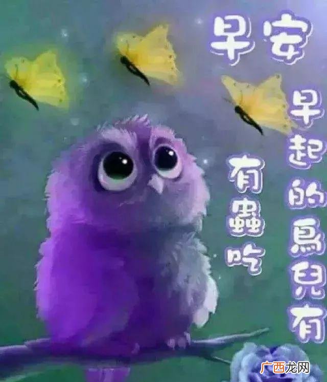 最精辟的早安带图励志语,早上好创业句子带图片