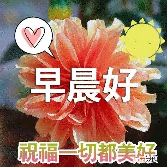 最精辟的早安带图励志语,早上好创业句子带图片