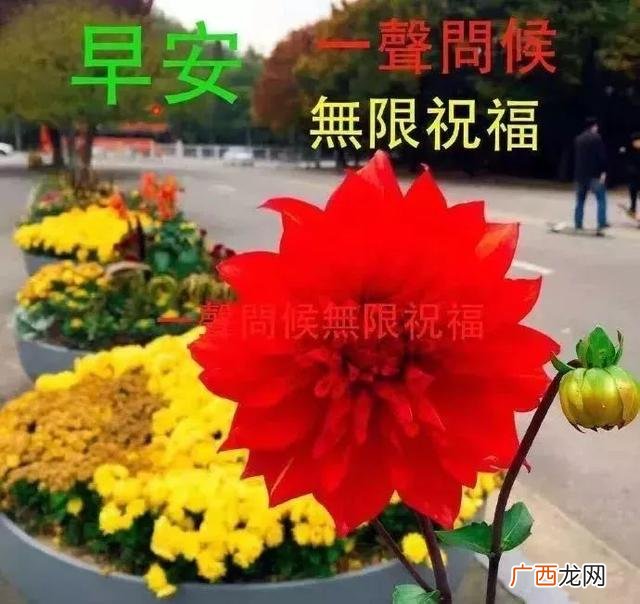 最精辟的早安带图励志语,早上好创业句子带图片