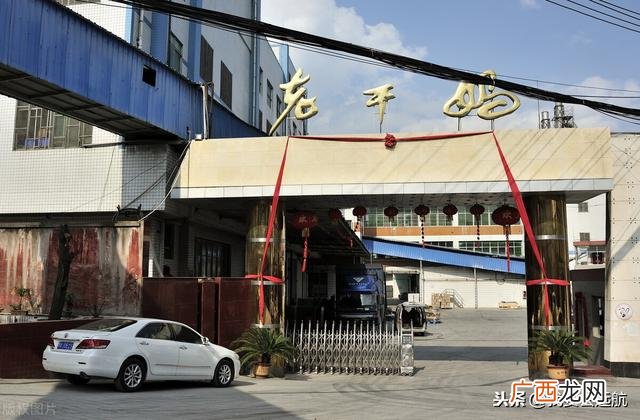 老干妈创业故事的启发 陶华碧创业故事简短