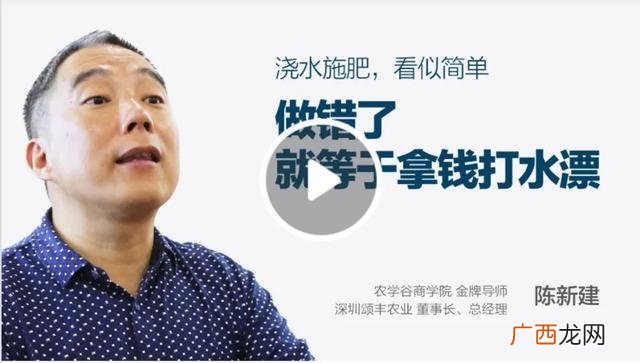 农村5万元无息贷款政策 无息贷款怎么办理