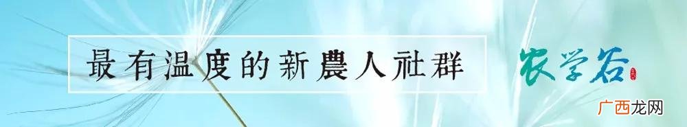 农村5万元无息贷款政策 无息贷款怎么办理
