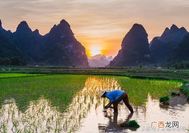 76个偏门小生意 开实体店卖什么最赚钱