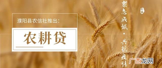农村信用社一般多久放款 农村信用社贷款五万需要什么条件