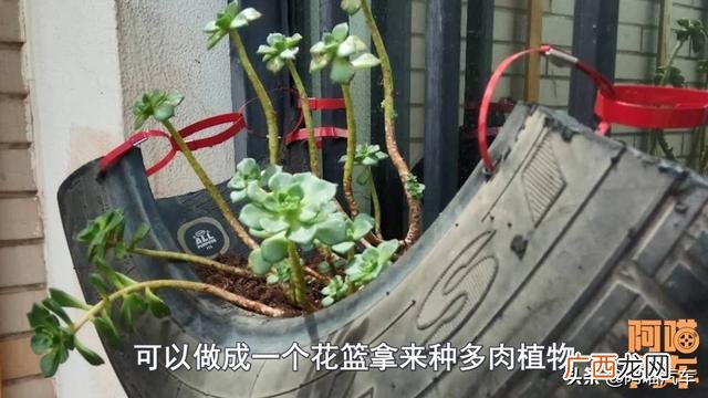 回收废旧轮胎联系方式 轮胎破碎颗粒价格