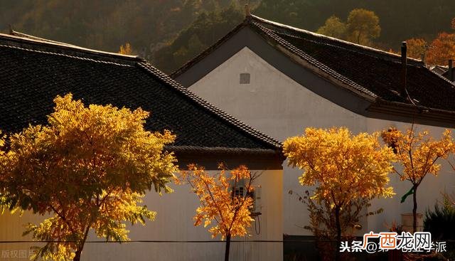 适合创业的环保项目 养老创业项目有哪些