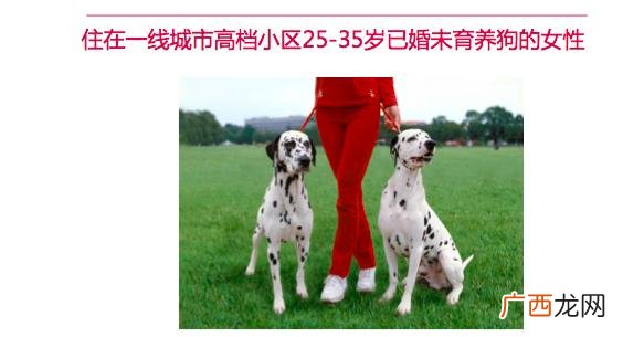 项目简介包括哪些内容,创业性阐述怎么写