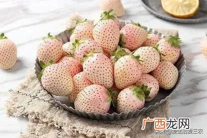 现在可以种什么树最合适,现在种什么树好一些啊!