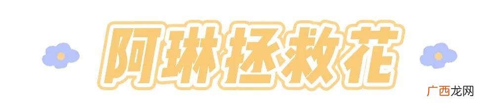 品牌大码女装前三名 高档大码女装品牌排行