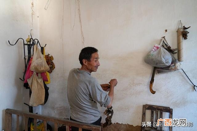 野生灵芝怎样吃效果最好 天然野生灵芝的价格