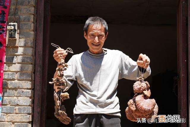 野生灵芝怎样吃效果最好 天然野生灵芝的价格
