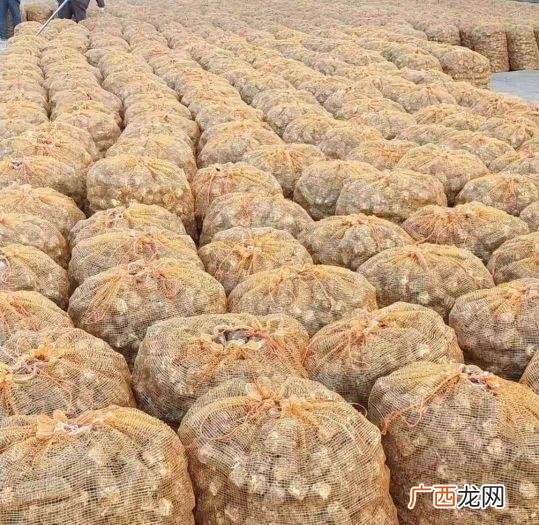 适合60岁老人的小生意 优质小额创业买卖