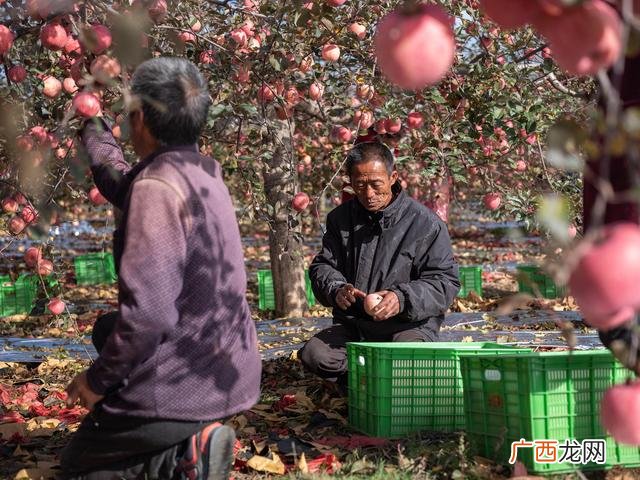 阿里巴巴手工活外发加工 寻找加工厂