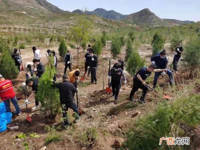 园林绿化工程师证四万二 园林绿化工程师证怎么考
