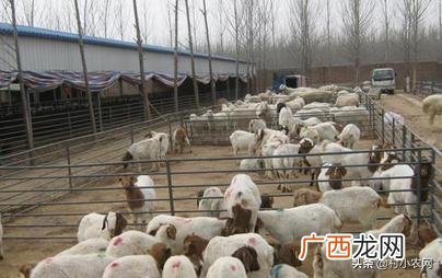 农村县城适合做的生意,在老家镇上做什么生意好