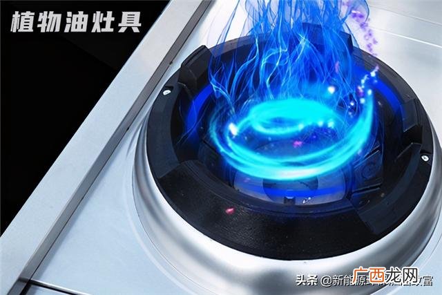 45个家庭办厂致富项目 2021年项目新商机