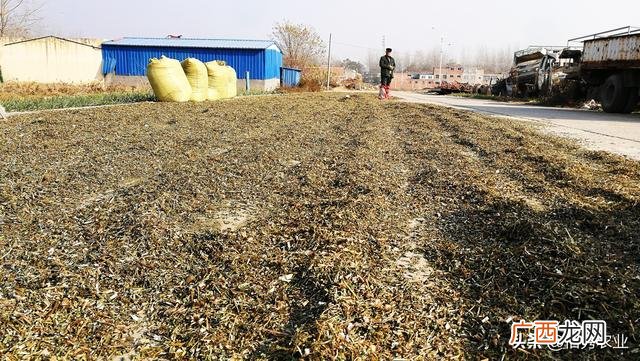 60岁可以做什么生意,适合农村60岁老人的小生意