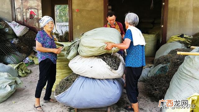 60岁可以做什么生意,适合农村60岁老人的小生意