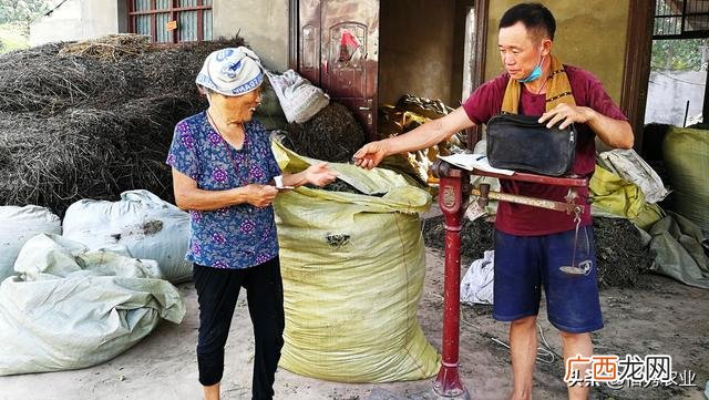 60岁可以做什么生意,适合农村60岁老人的小生意