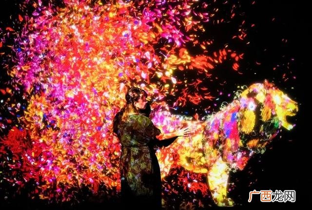 大学生创业商业画布图,在创业模拟的时候,注册资金和场地