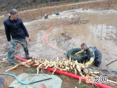 国家免息创业贷款15万 青州市大学生创业贷款