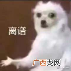 零售连锁店,一点点连锁店查询