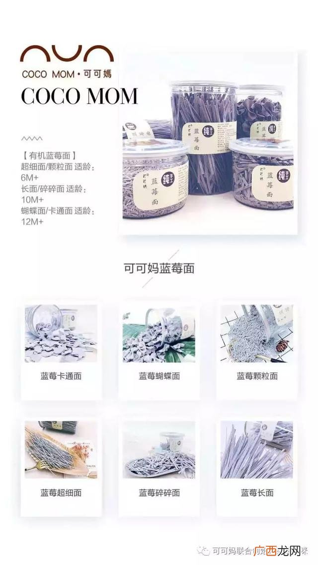 纯手工辅食培训学校 儿童手工diy项目加盟