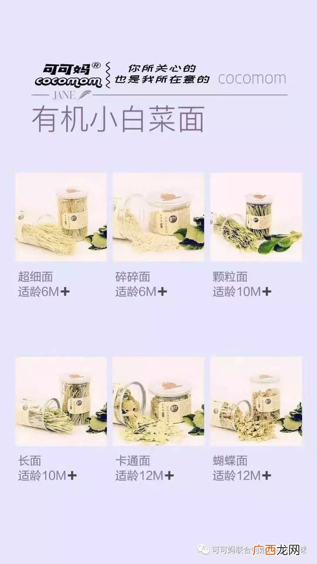 纯手工辅食培训学校 儿童手工diy项目加盟