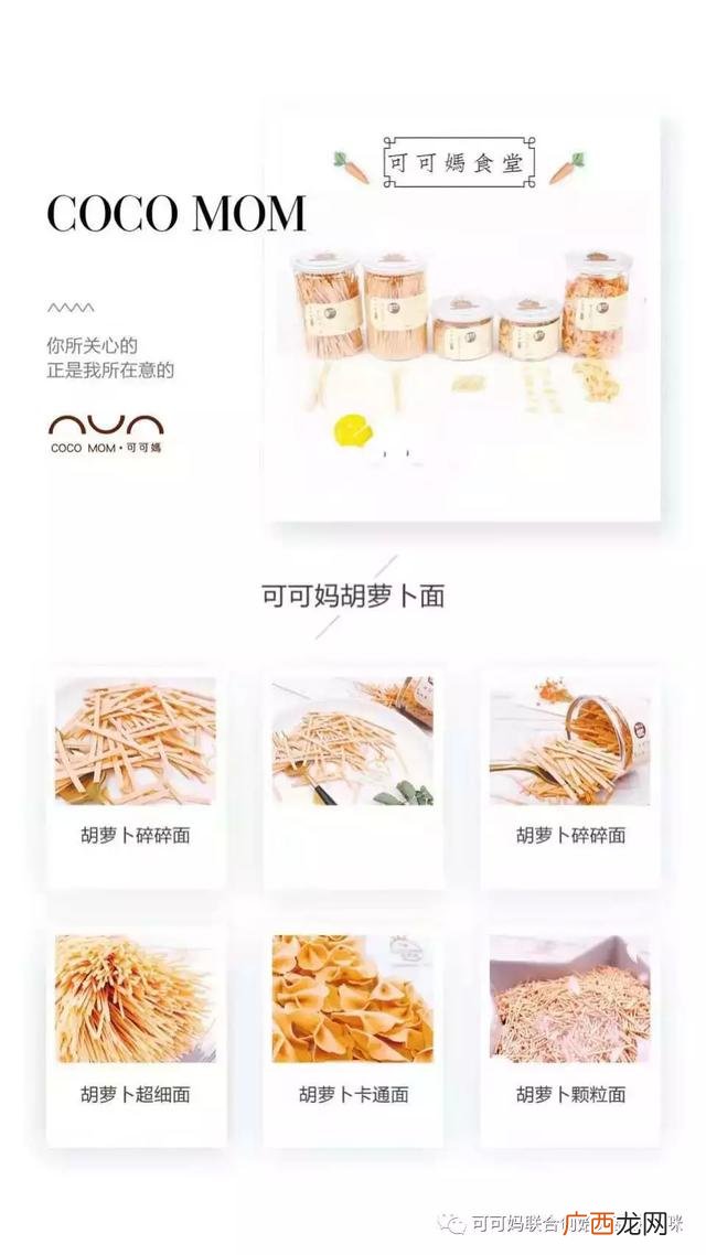 纯手工辅食培训学校 儿童手工diy项目加盟