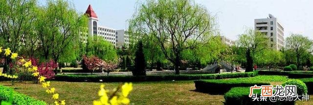 烟台大学就业怎么样 鲁东大学就业信息网