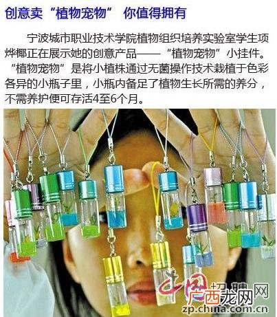 奇葩规定,创业奇葩项目作文