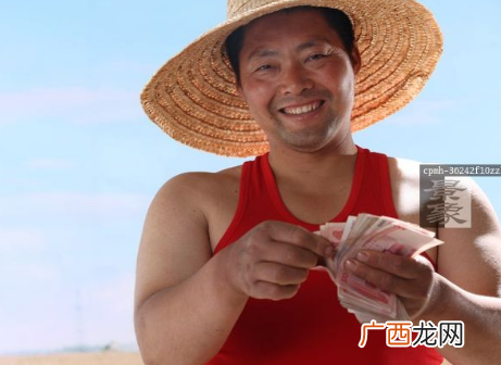 一亩地种什么挣10万？农村土地种植什么最赚钱