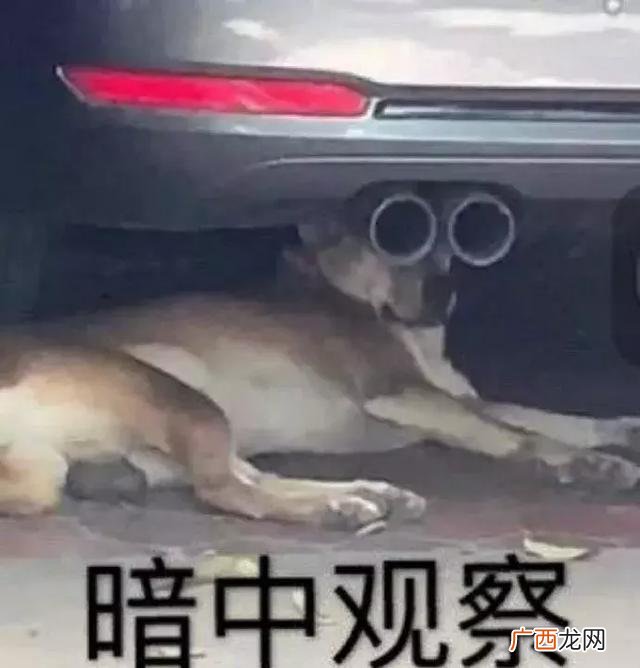 网红食品进货渠道 小食品批发进货渠道