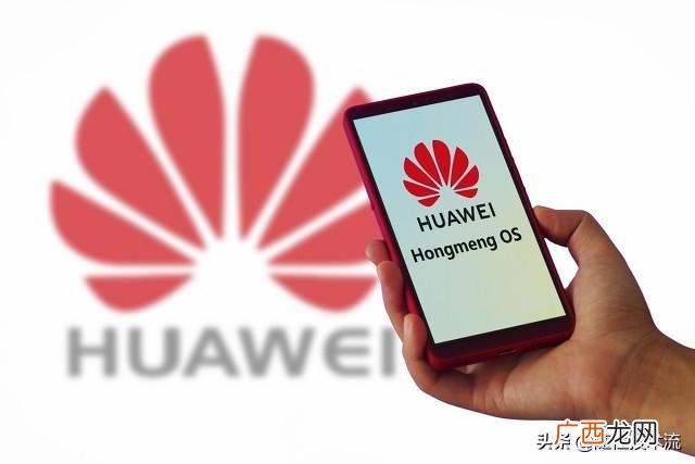 罗永浩锤子科技是做什么的,罗永浩创业几次