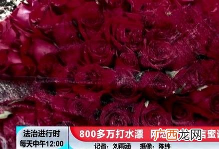 找投资项目的网站 一个好项目怎么拉人投资