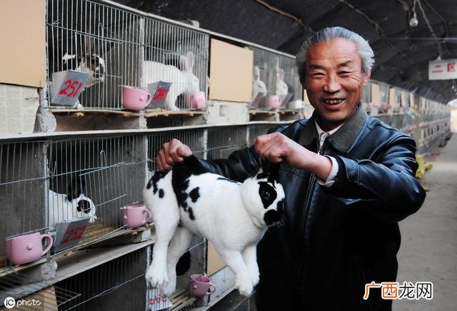 农村冷门暴利养殖,农村种地种什么赚钱
