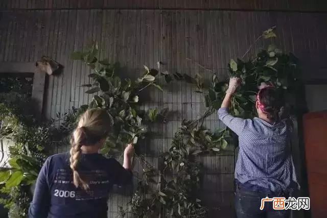 花店项目愿景 创业构思怎么写花店