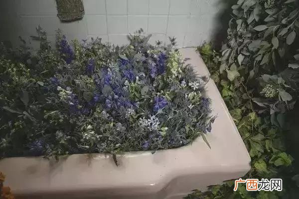 花店项目愿景 创业构思怎么写花店