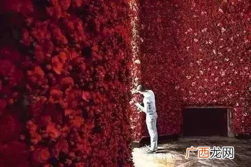 花店项目愿景 创业构思怎么写花店