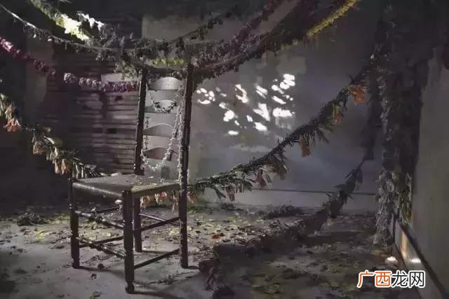 花店项目愿景 创业构思怎么写花店