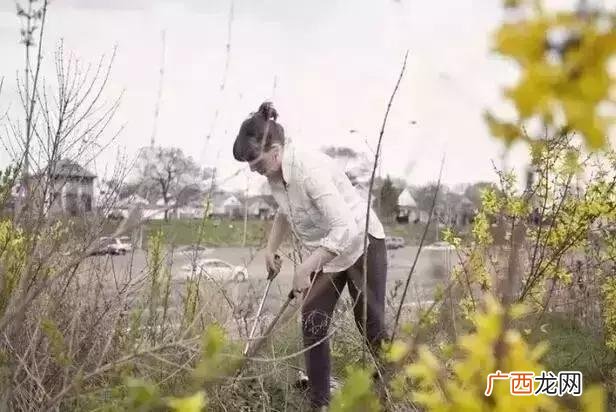 花店项目愿景 创业构思怎么写花店