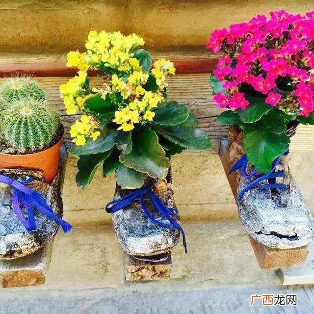 洗衣液桶制作花盆图片 洗衣液空瓶的利用