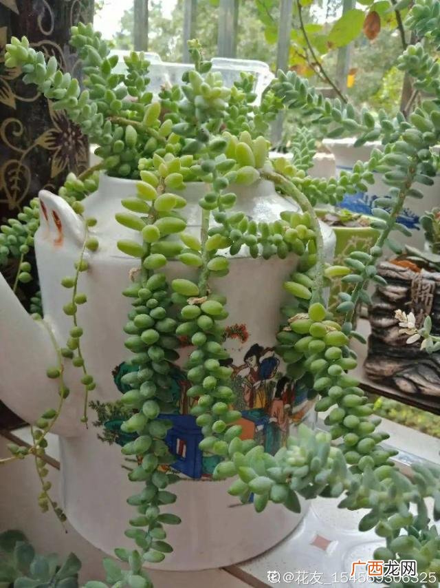 洗衣液桶制作花盆图片 洗衣液空瓶的利用
