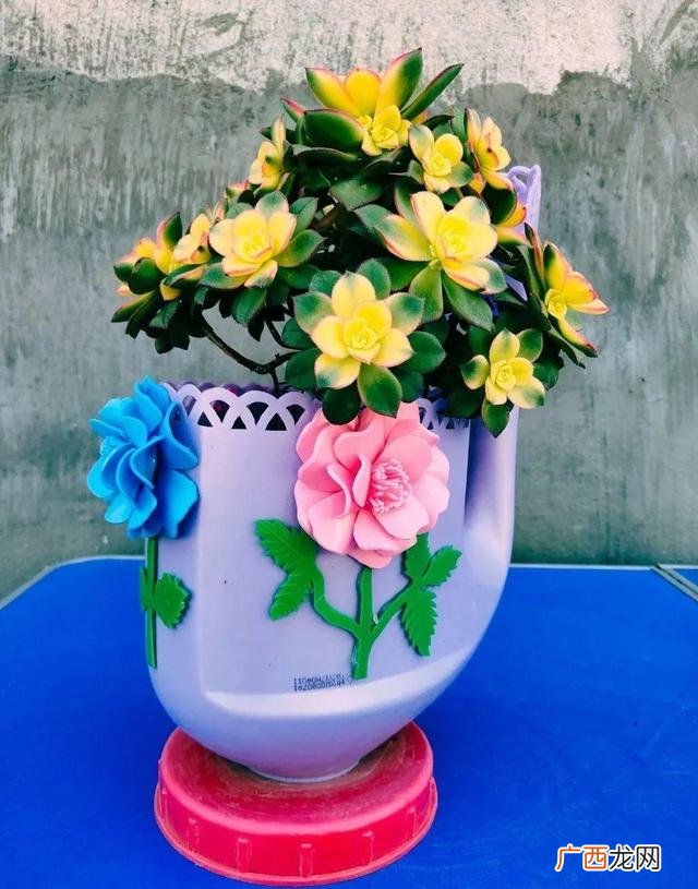 洗衣液桶制作花盆图片 洗衣液空瓶的利用
