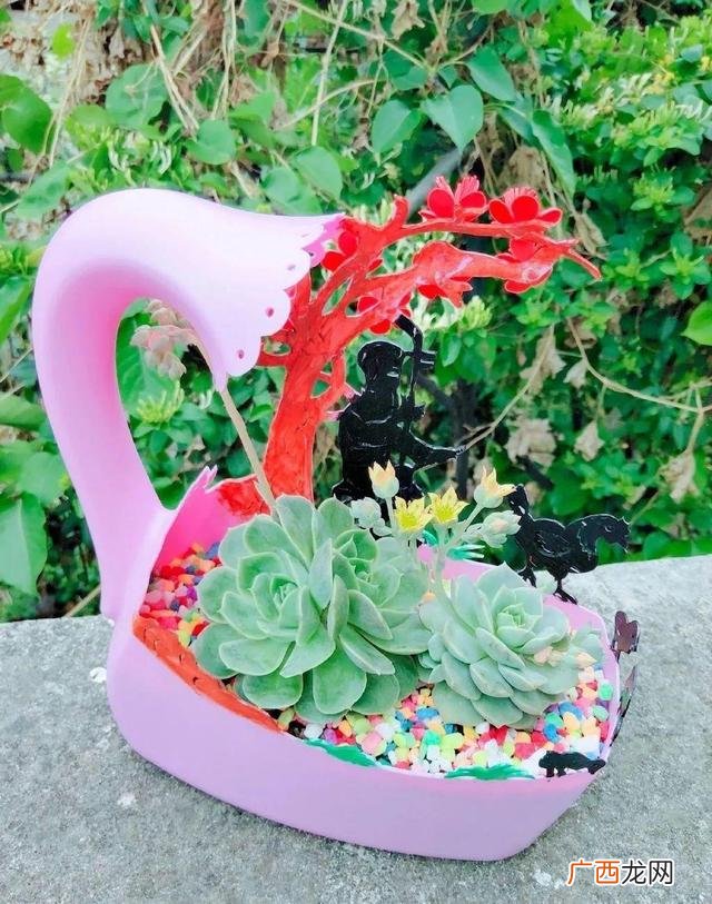洗衣液桶制作花盆图片 洗衣液空瓶的利用