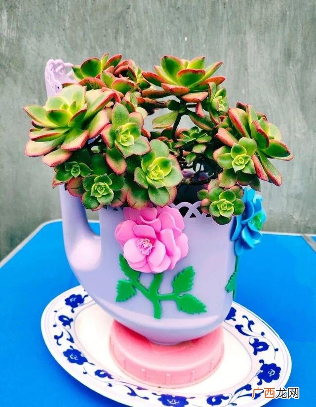 洗衣液桶制作花盆图片 洗衣液空瓶的利用